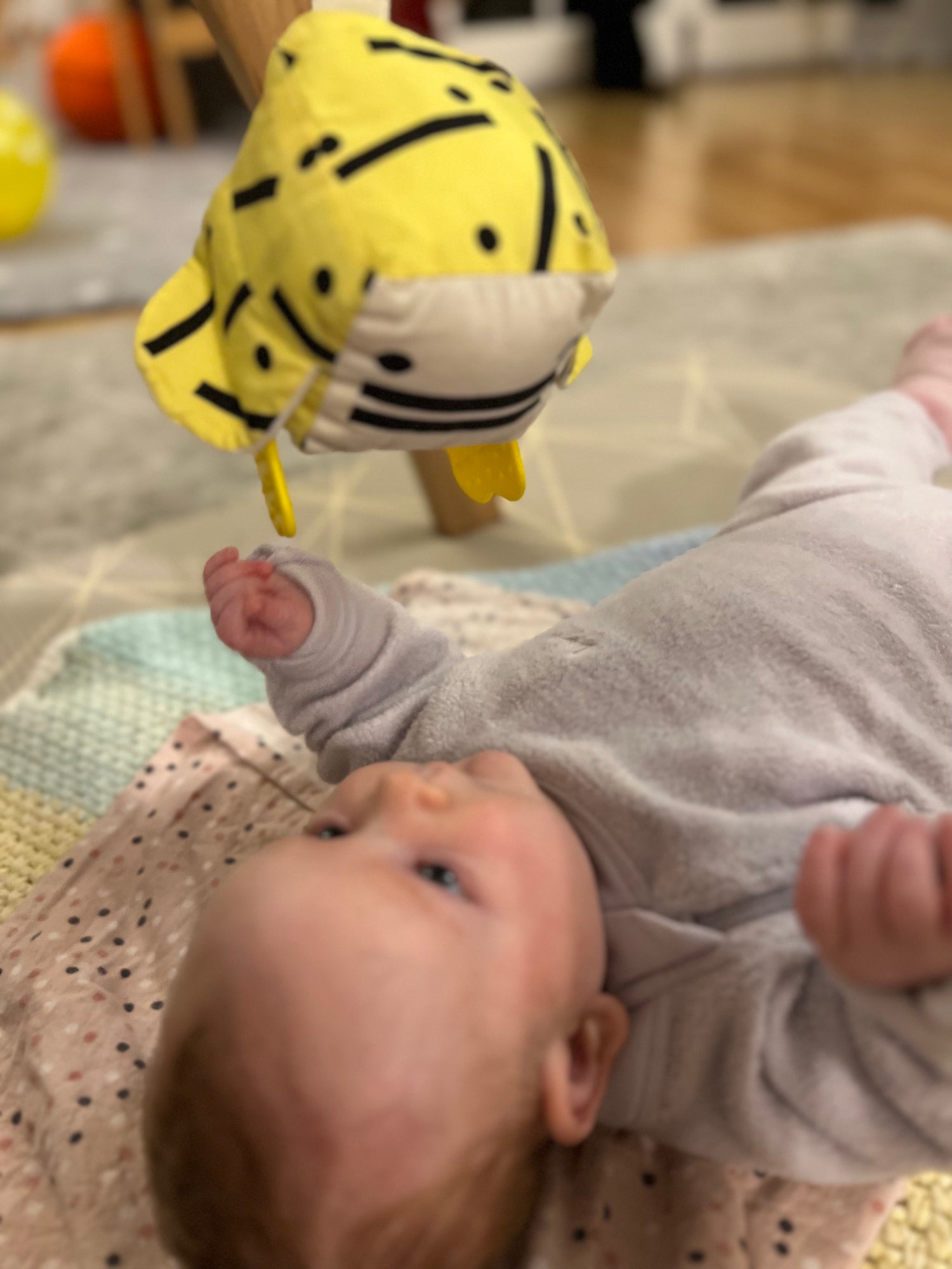 THE DUCK - Rainbow Drops