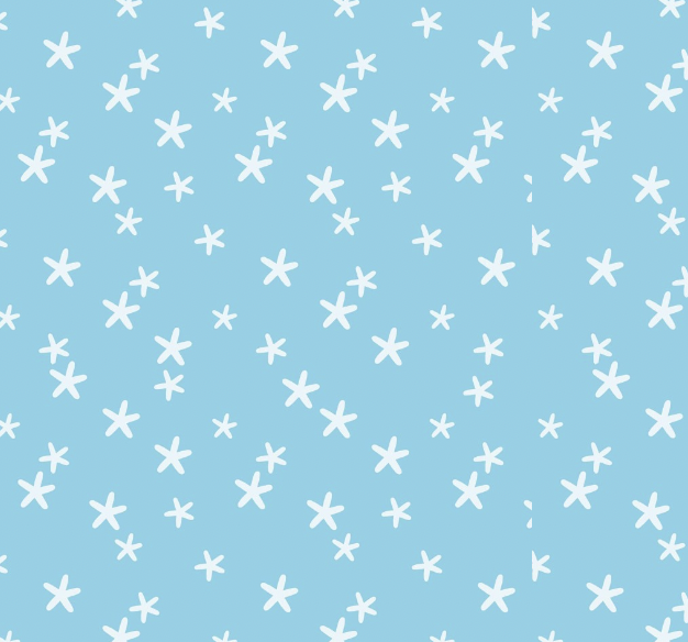 THE DUCK - Snow Flake